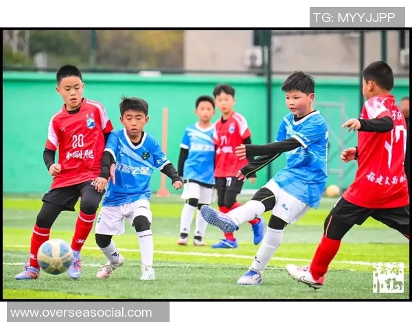 足球明星的孩子们踢球视频大合集展现未来足球之星的潜力与魅力