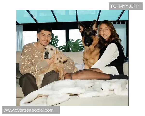 足球明星的太太团揭秘她们的生活与时尚引领潮流的背后故事